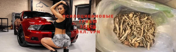 молекула духа Медногорск