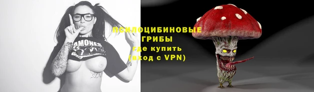 молекула духа Медногорск