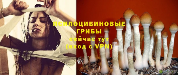 экстази Мегион