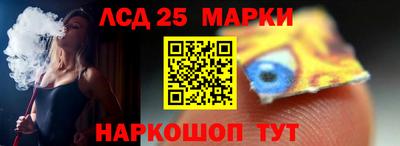 гашик Берёзовский