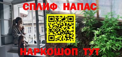 дживик Гагарин