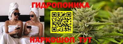 гашиш Гай