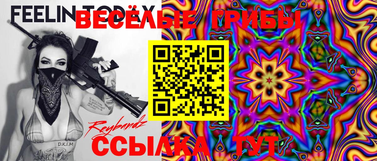 Псилоцибиновые грибы Psilocybine cubensis Калач-на-Дону